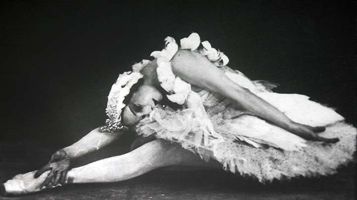 День рождения "Умирающего лебедя"